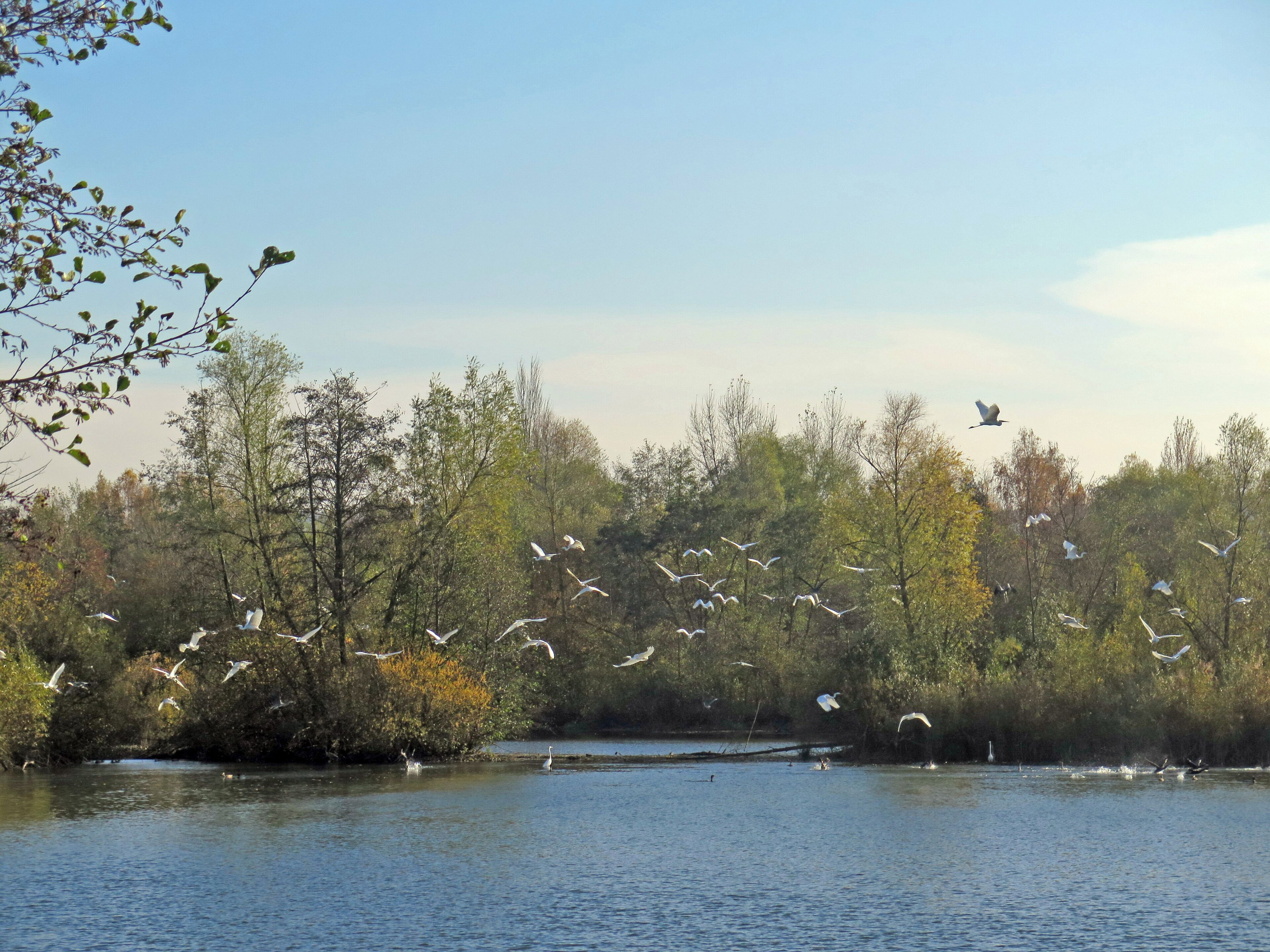 (NSG:BY-NSG-00595.01)_Mainaue bei Augsfeld