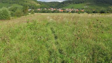 (NSG:BY-NSG-00408.01)_Altmain und Sandmagerrasen bei Limbach