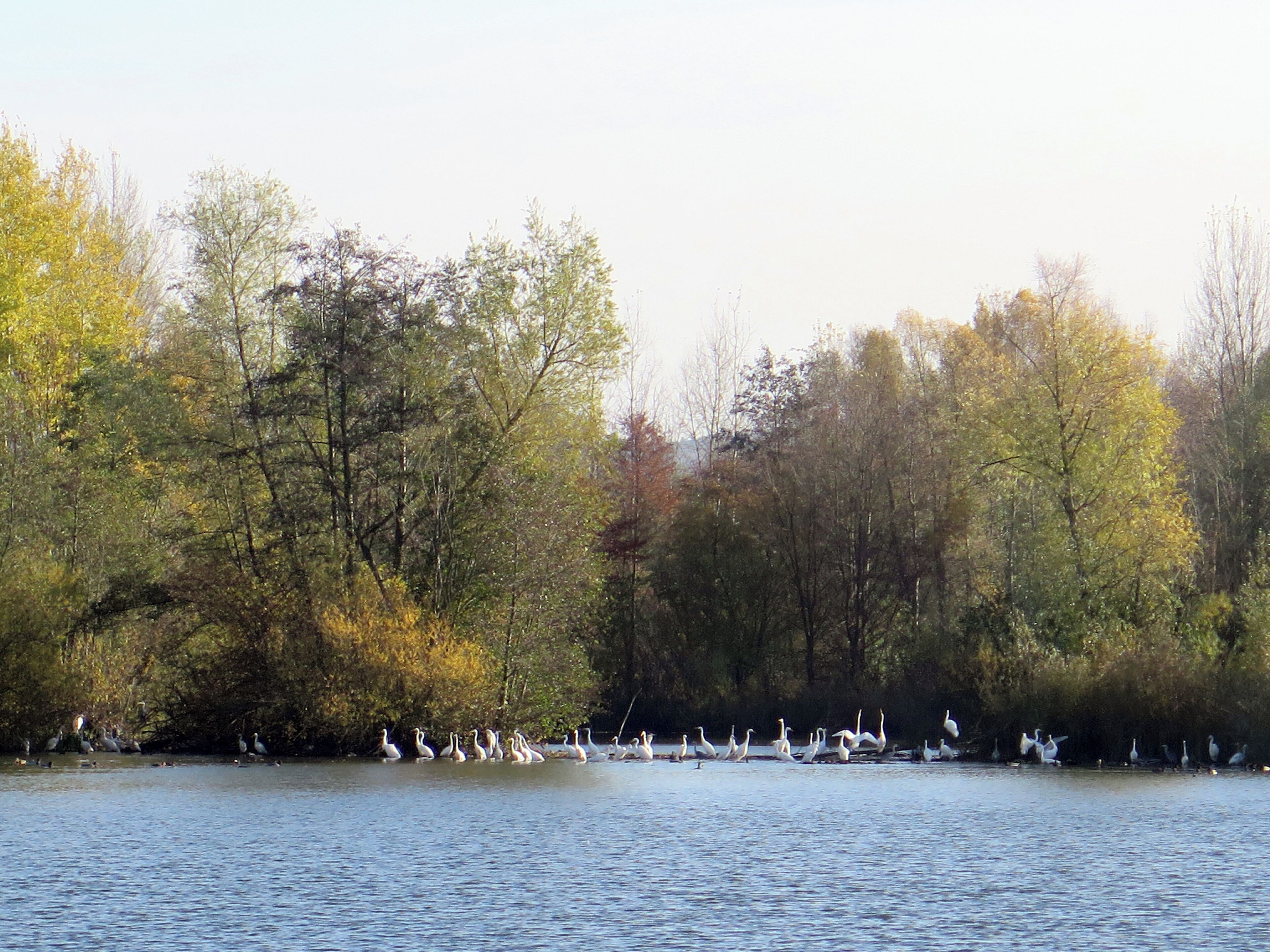 (NSG:BY-NSG-00595.01)_Mainaue bei Augsfeld