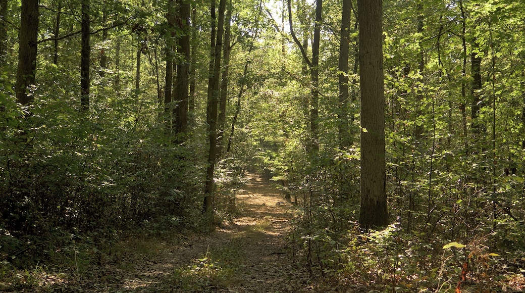 (NSG:BY-NSG-00122.01)_Ebelsberg