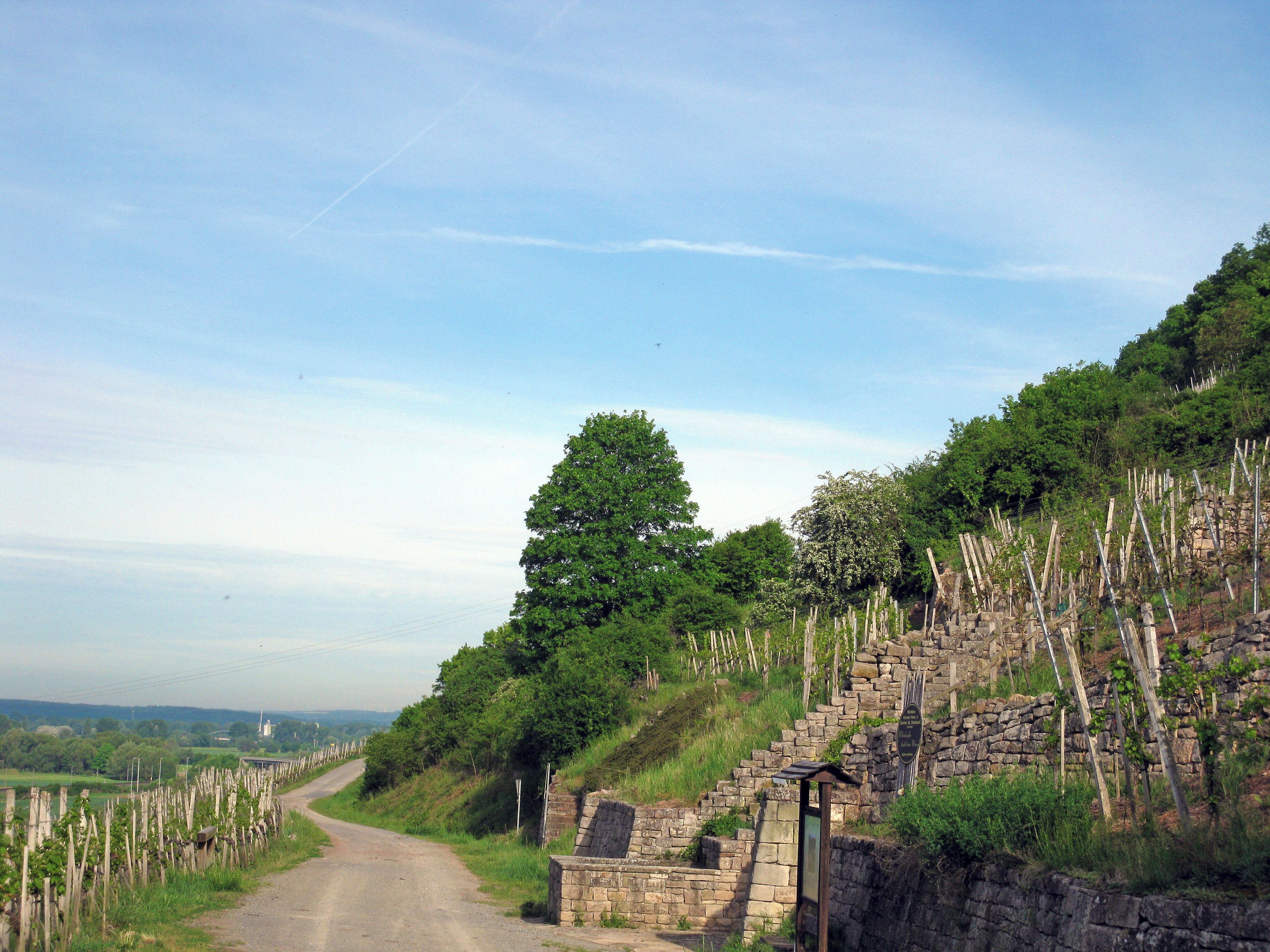 A rural road winding through a vineyard with stone walls and wooden trellises.