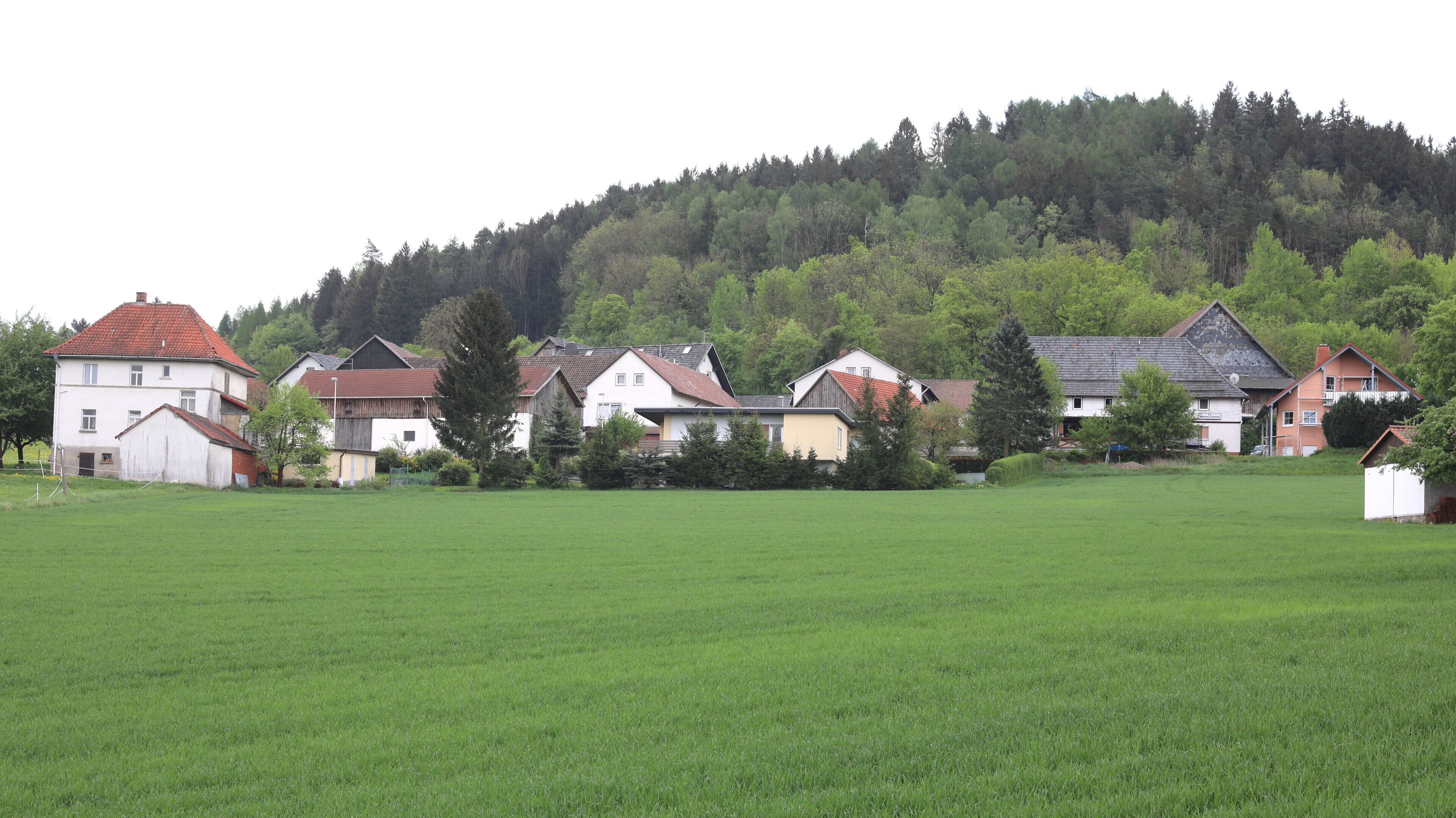A rural village with houses and a forested hill in the background.