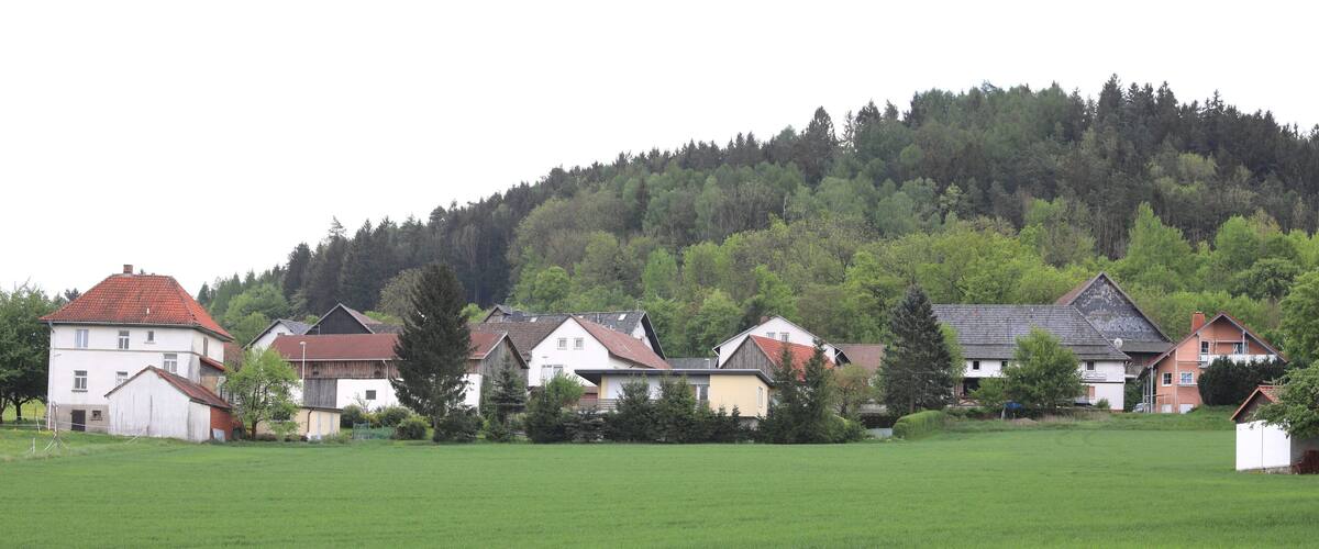 A rural village with houses and a forested hill in the background.
