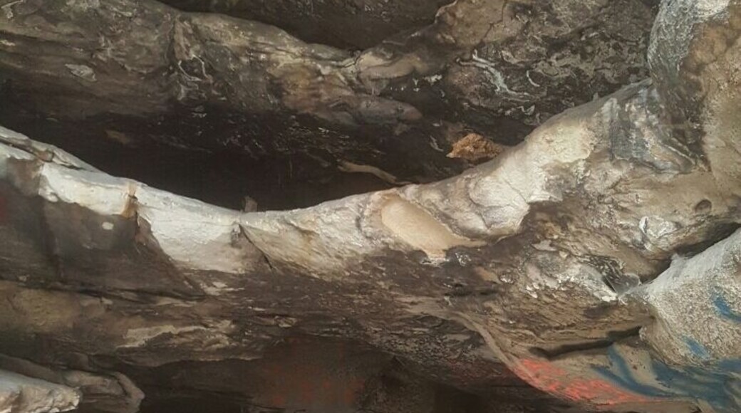 Hike about 3 miles on the trail head at Carson Island in Elkhorn City and reach Pretty Rock House. It's pretty graffettied, but the hike and beautiful scenery is well worth reaching this destination!