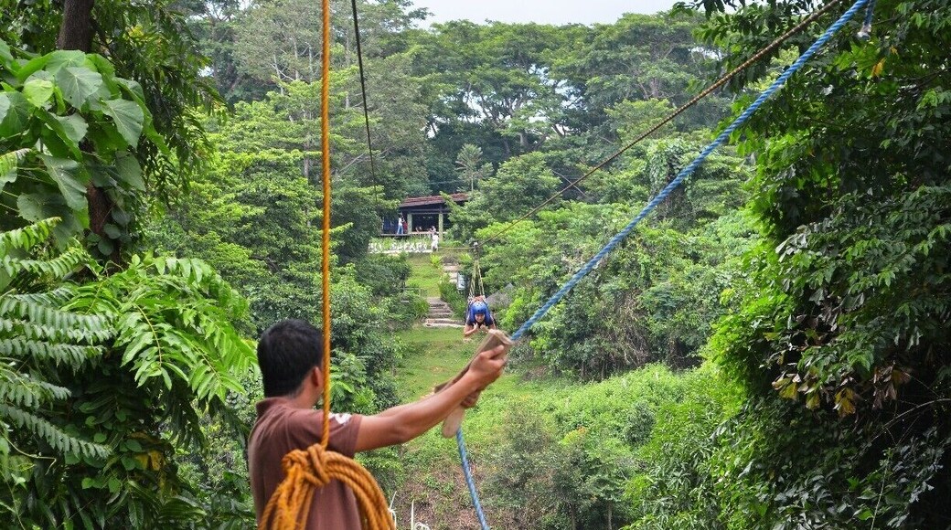 i love the close encounter with the tigers. and most of all i love their zip line!