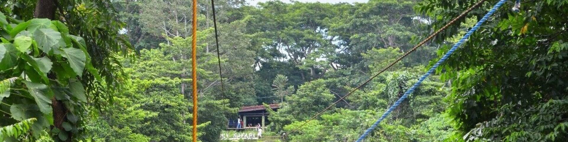 i love the close encounter with the tigers. and most of all i love their zip line!