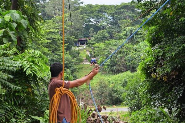 i love the close encounter with the tigers. and most of all i love their zip line!