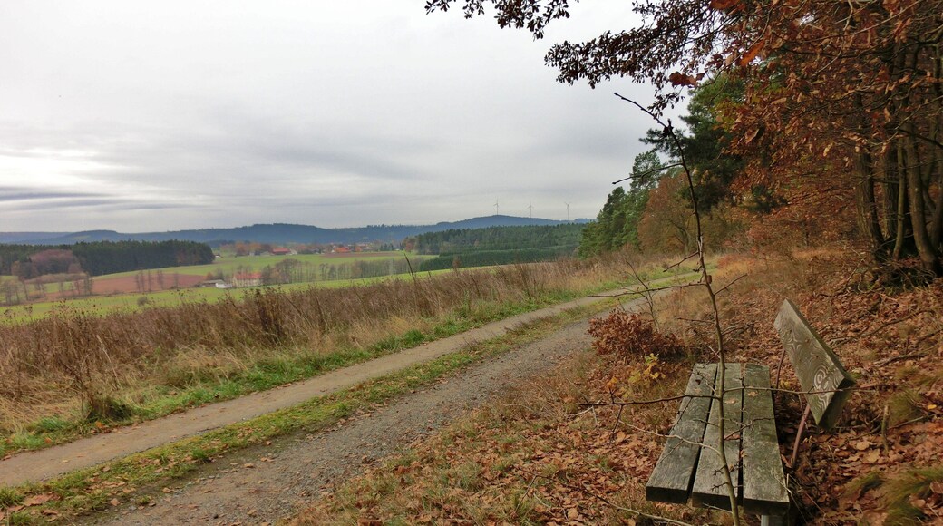 Aussicht von Frankenberg 1