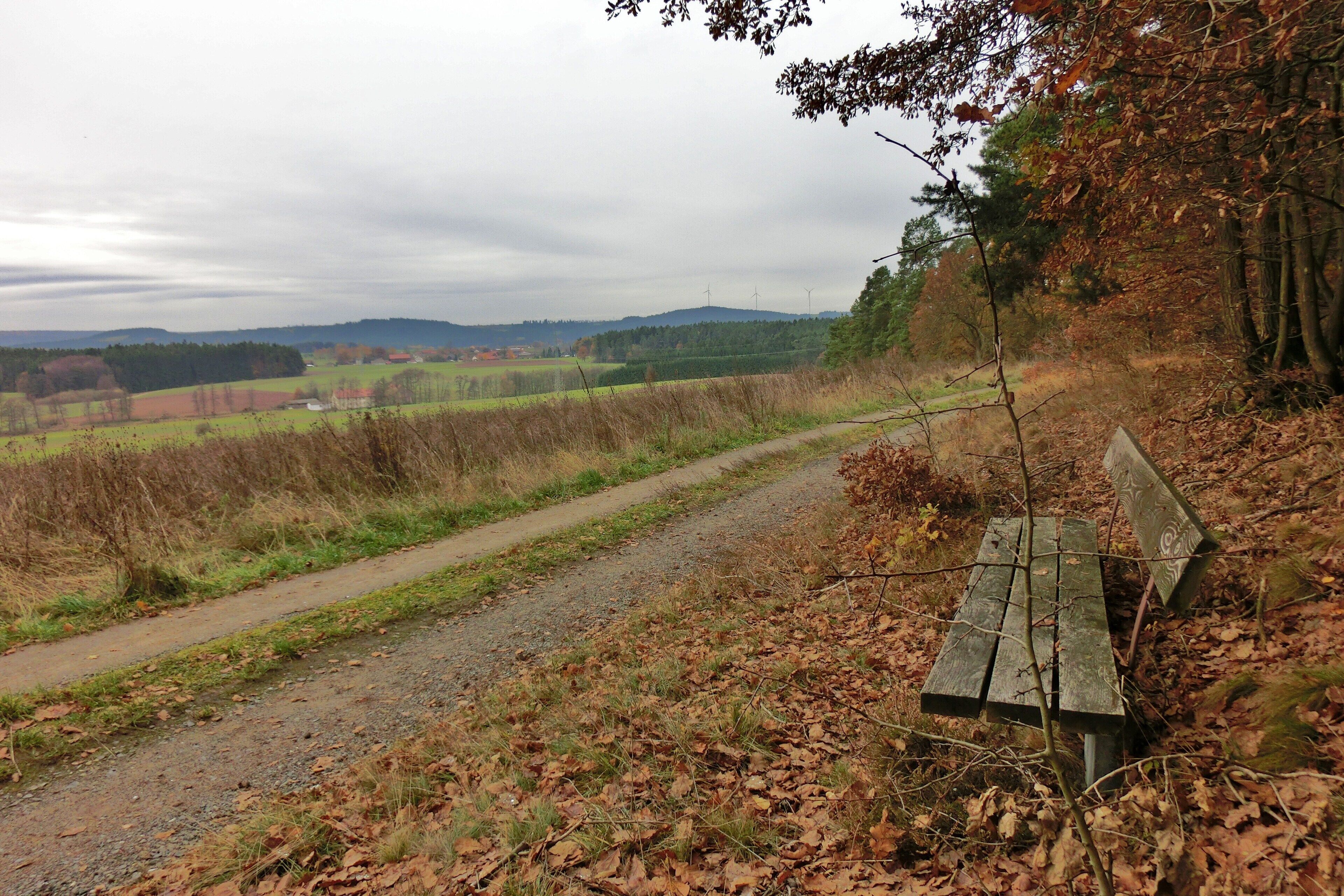 A gravel path with a wooden bench, surrounded by autumn foliage and distant wind turbines.