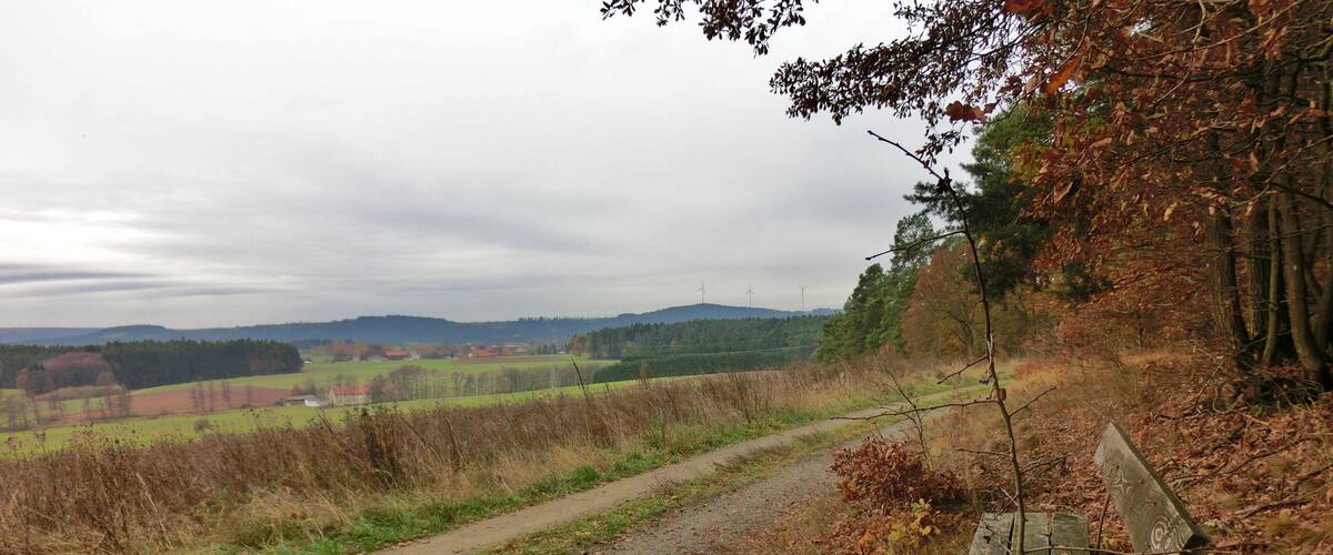 A gravel path with a wooden bench, surrounded by autumn foliage and distant wind turbines.