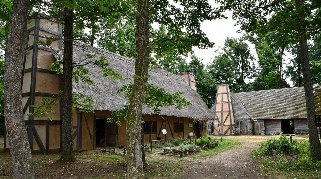 Houses with roof made with straw. Early Settlement Interpretive, Henricus Historical Park, Chester, Virginia