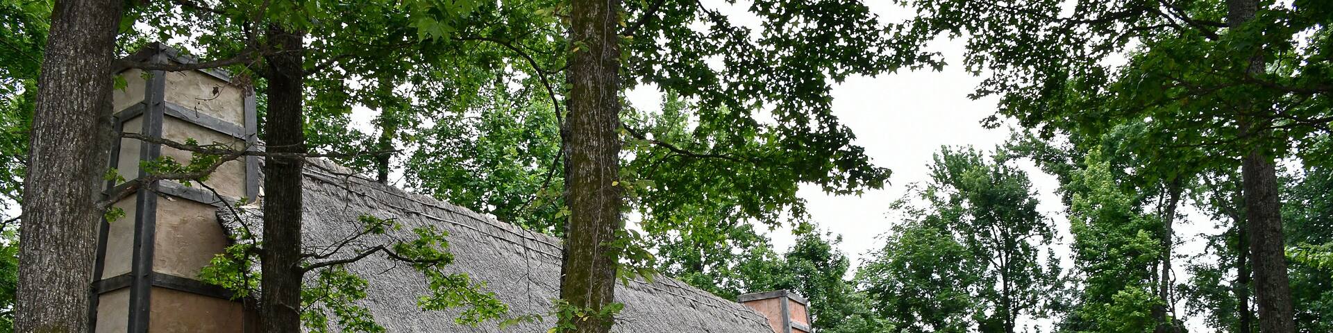 Houses with roof made with straw. Early Settlement Interpretive, Henricus Historical Park, Chester, Virginia