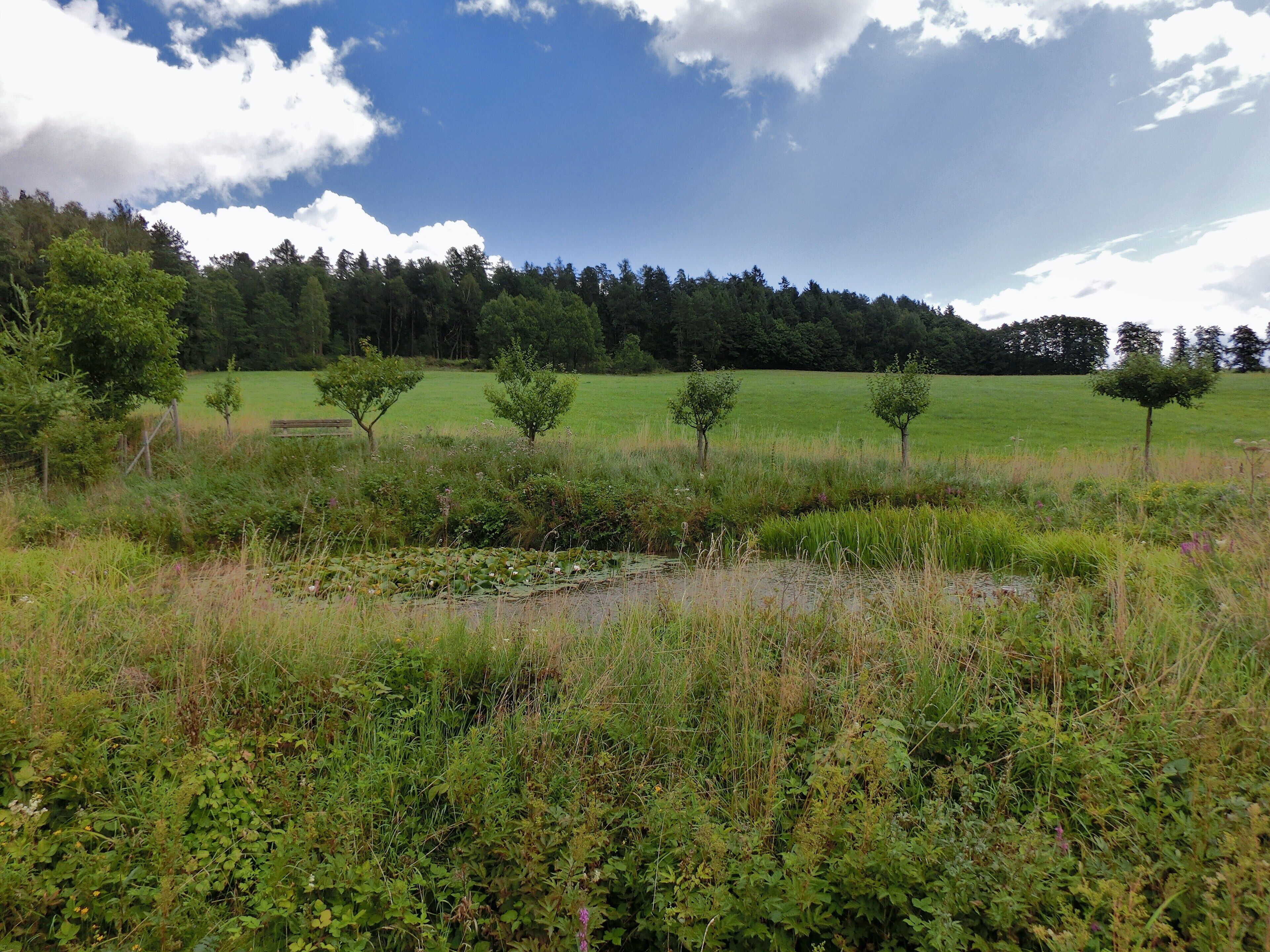 Bank am Seerosenteich