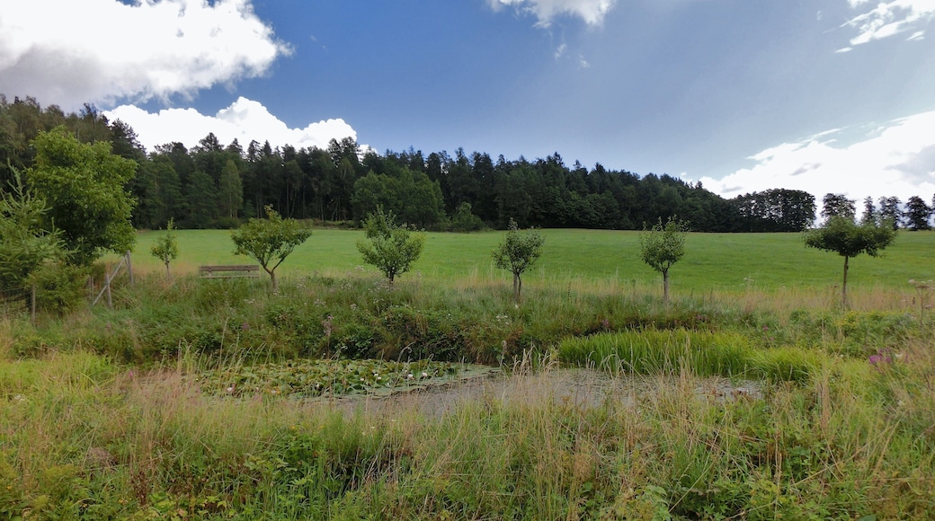 Bank am Seerosenteich