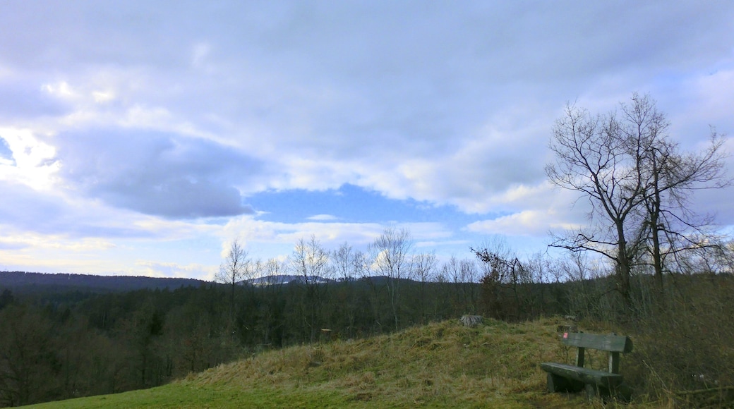 Bank am Fränkischen Gebirgsweg