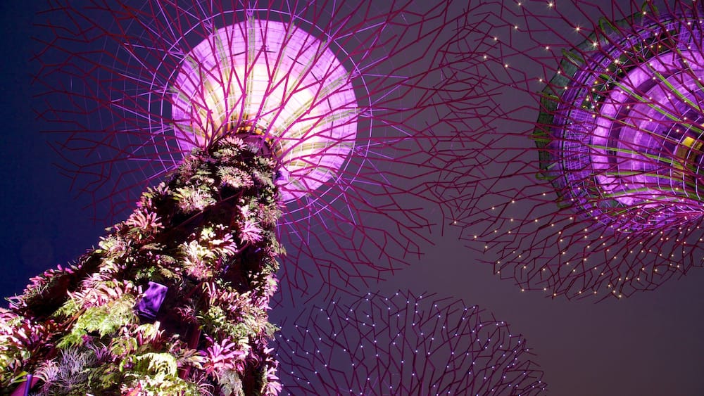 Gardens by the Bay which includes night scenes, a garden and modern architecture