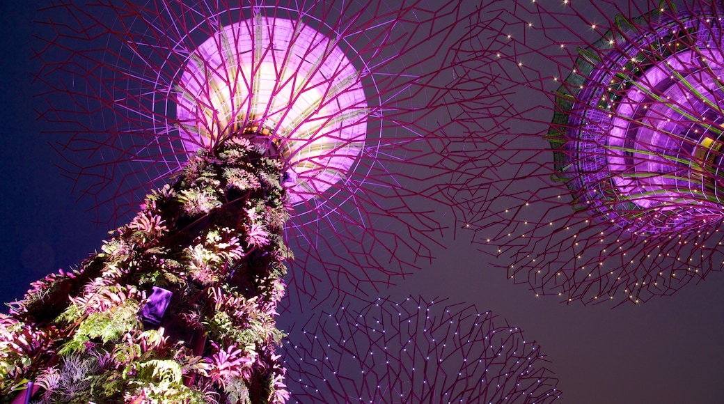 Gardens by the Bay which includes night scenes, a garden and modern architecture