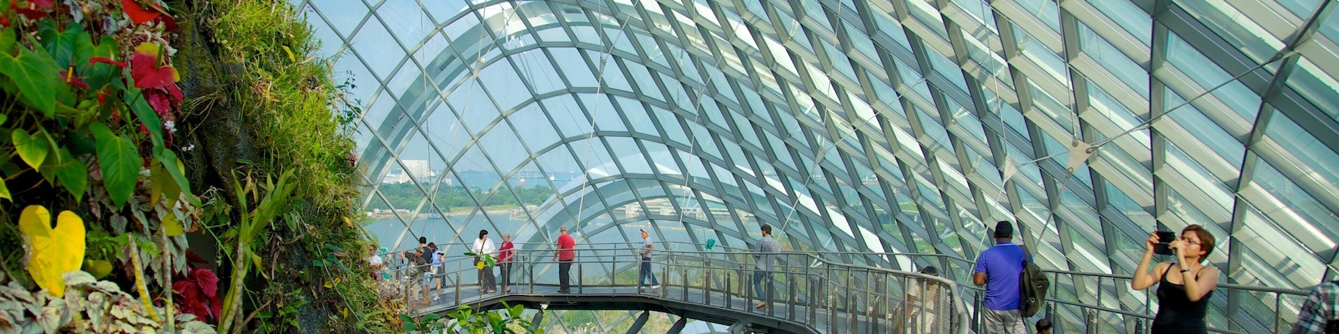 Gardens by the Bay mostrando arquitetura moderna, vistas internas e um jardim