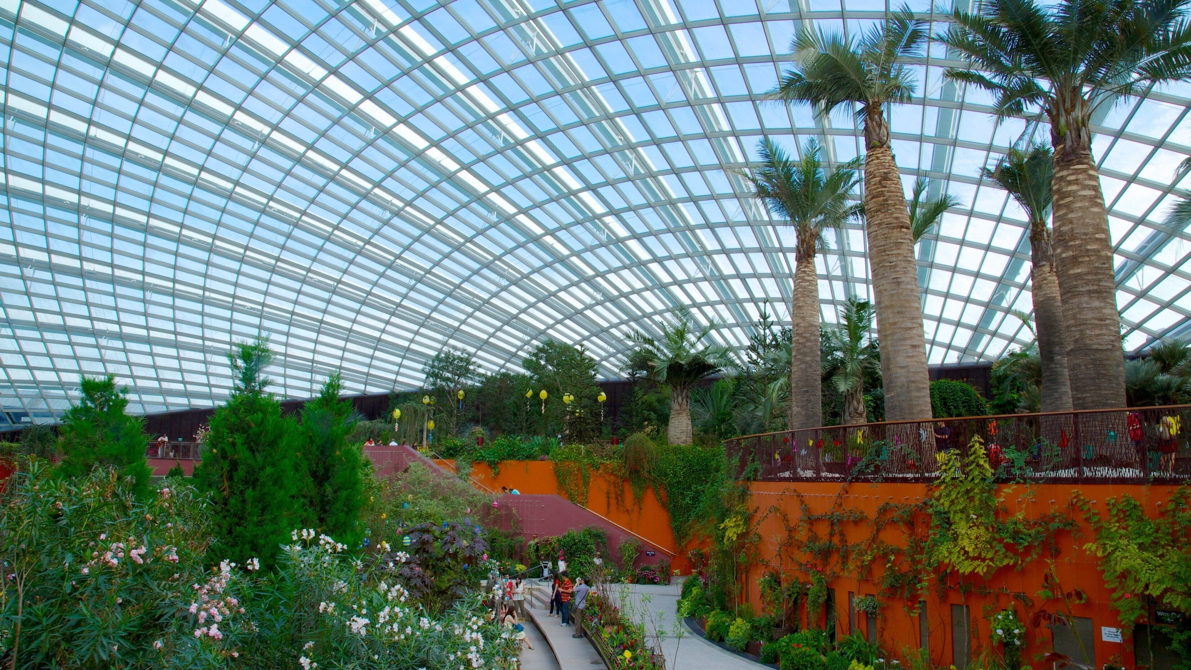 A large indoor botanical garden with a glass ceiling, palm trees, and various plants.