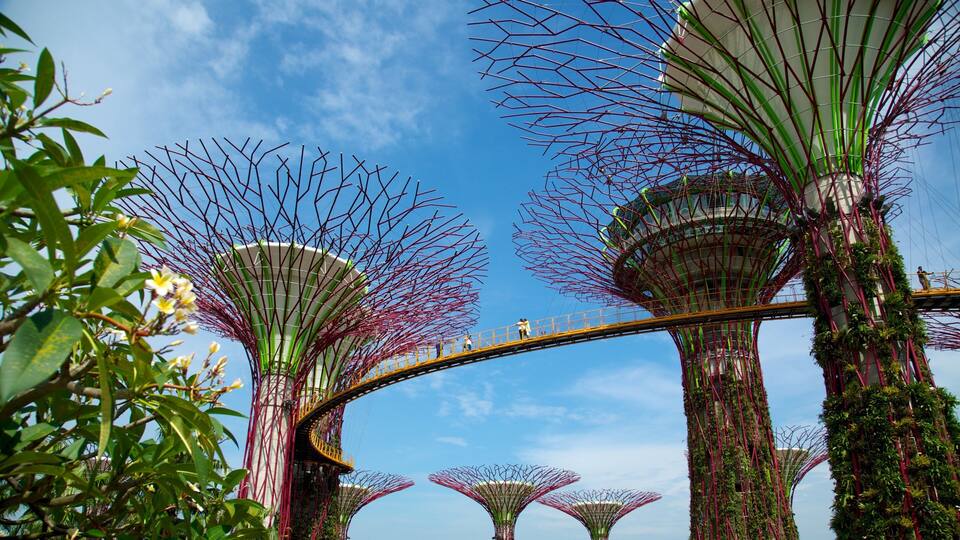 Un puente con un diseño curvo y singular, rodeado de estructuras altas que se asemejan a árboles con follaje verde y detalles rojos.