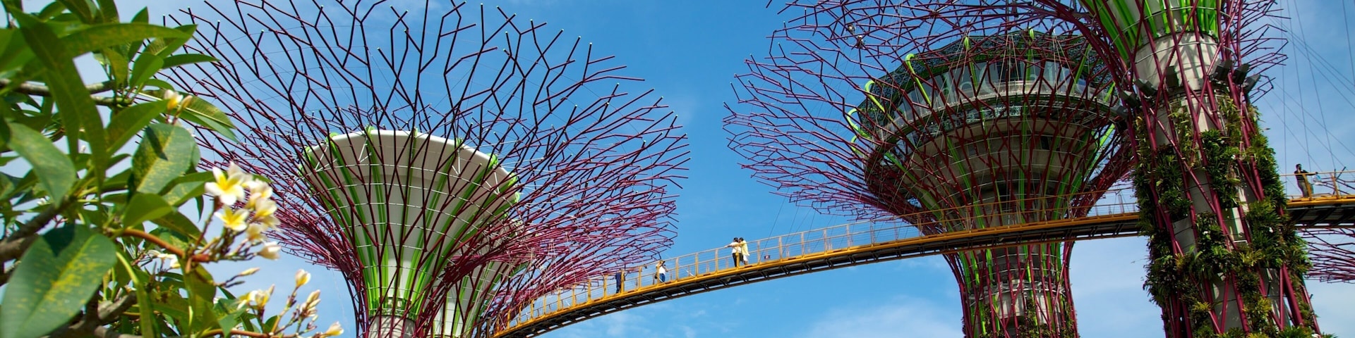 Gardens by the Bay which includes a garden