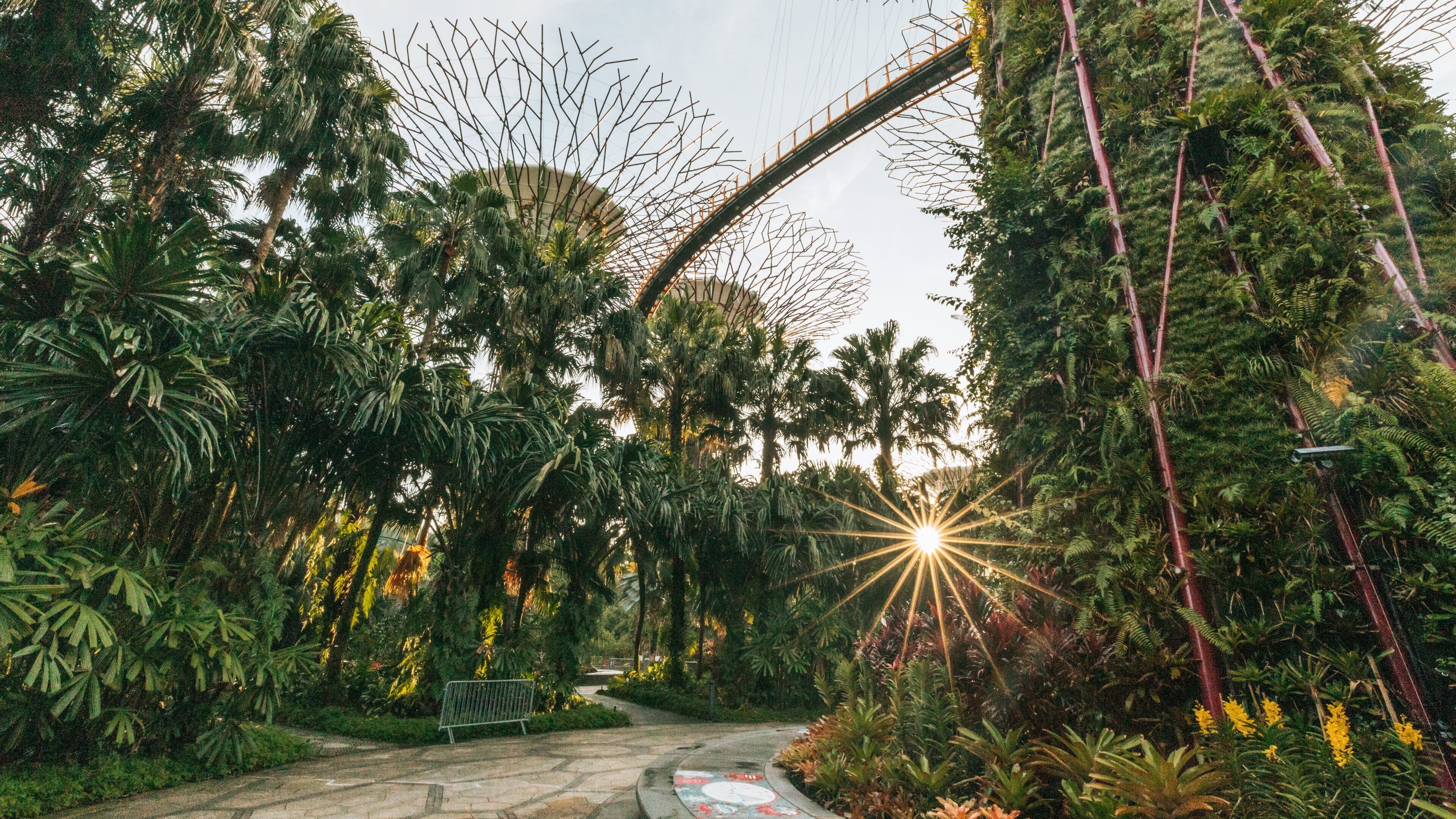 Gardens by the Bay featuring a garden and a sunset