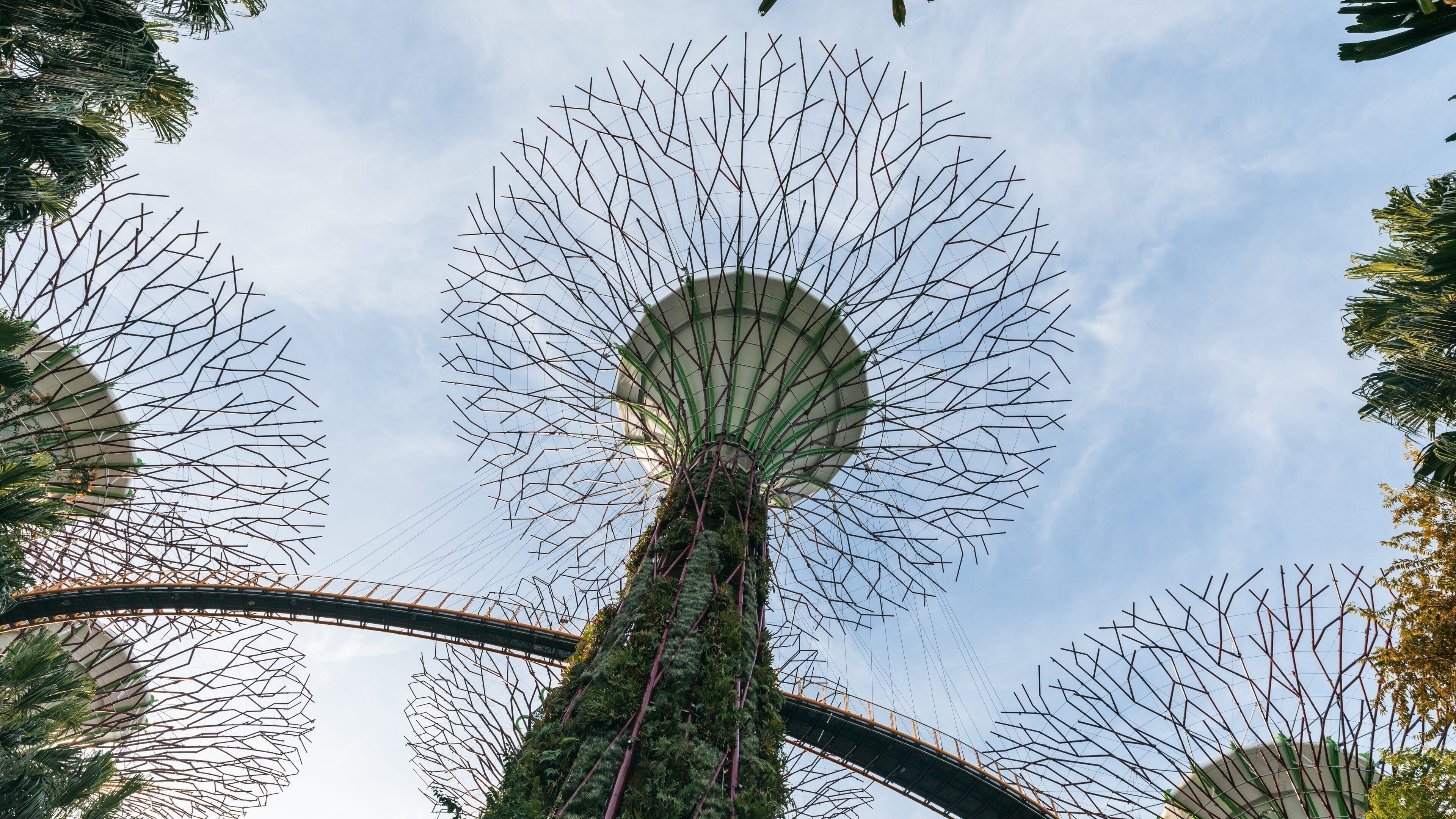 A large, intricate sculpture with a spherical top and numerous thin rods radiating outward, set against a clear sky.