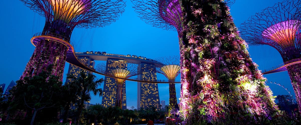 Gardens by the Bay toont nachtleven, moderne architectuur en een tuin