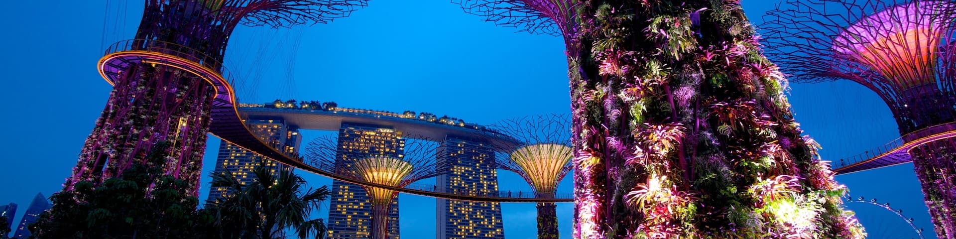 Gardens by the Bay mit einem moderne Architektur, Park und bei Nacht