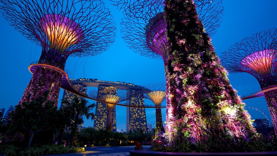Gardens by the Bay mit einem moderne Architektur, Park und bei Nacht