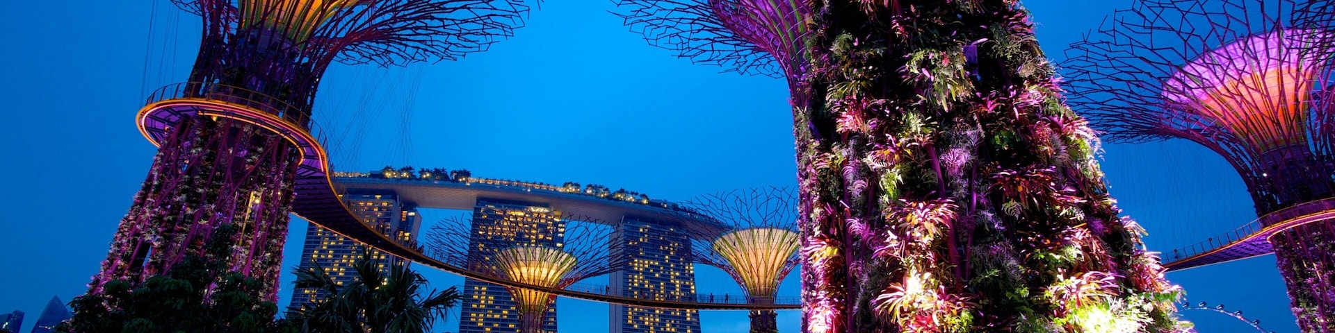 Gardens by the Bay ofreciendo un jardín, arquitectura moderna y escenas nocturnas