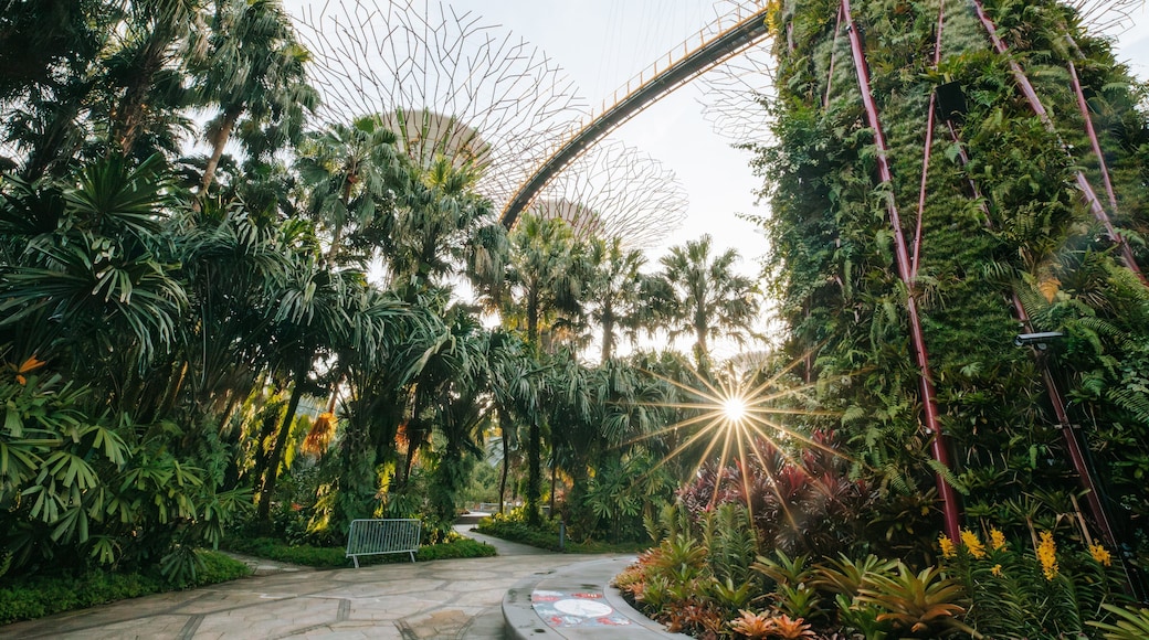 Gardens by the Bay which includes a sunset and a garden