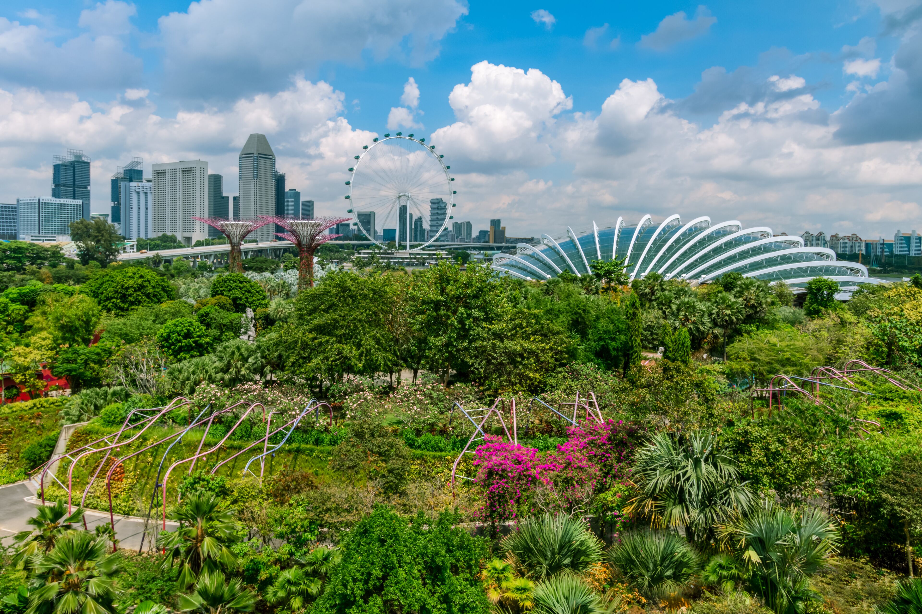 City view of  skyline and Gardens by the Bay in Singapore.  