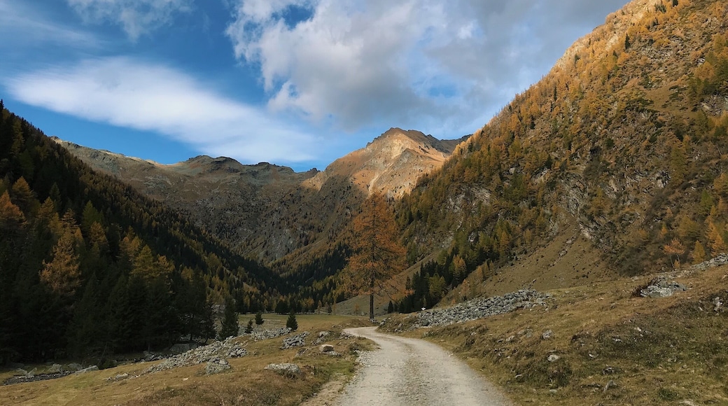 #home #mountains #valtellina #discoveritaly