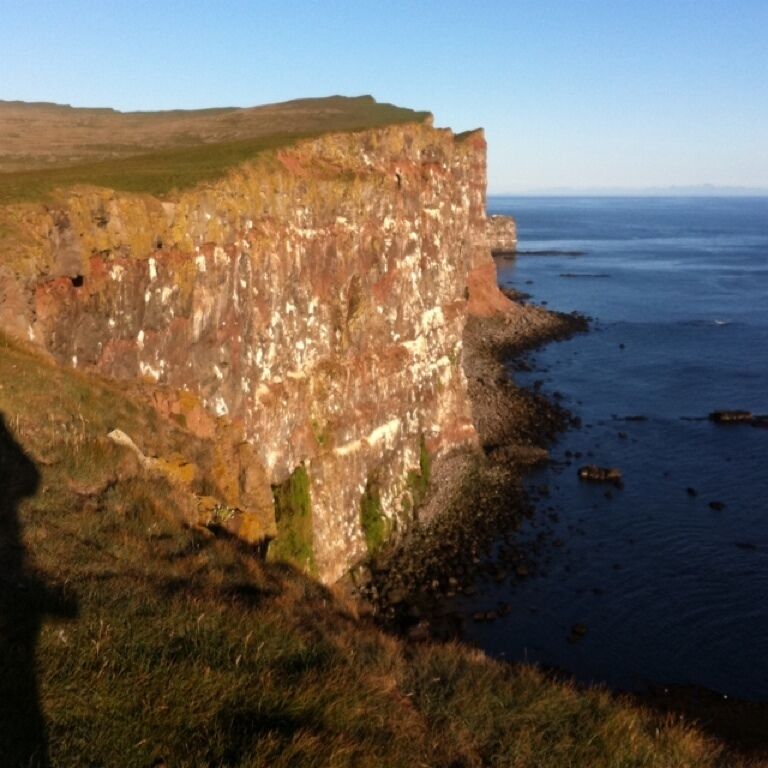 A coastal cliff with a grassy foreground and a clear view of the sea.
