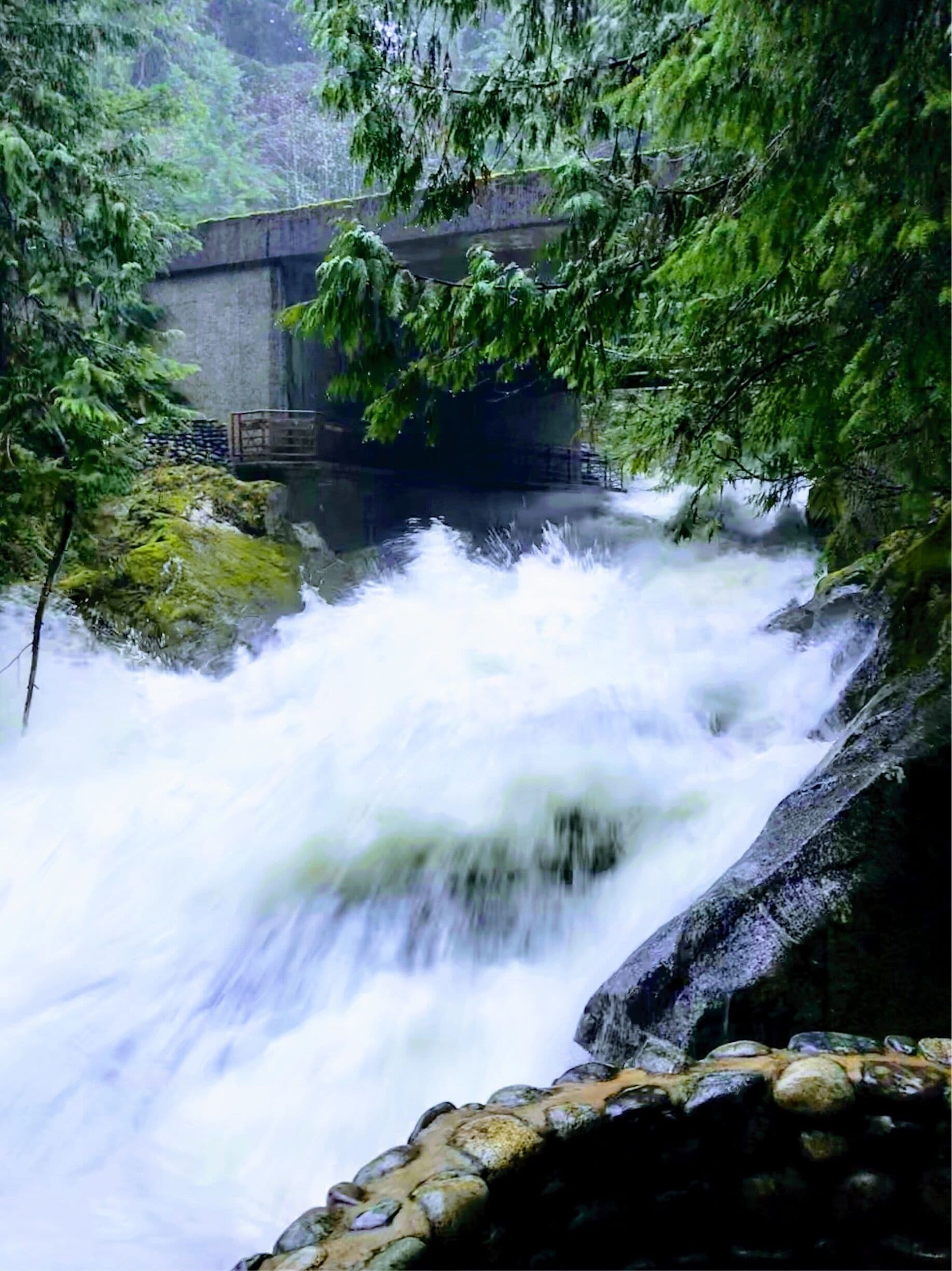 Lots of #green with all of the winter rain on the Skykomish #River #ligeatexpedia