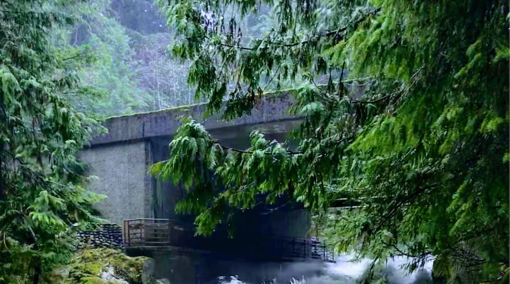 Lots of #green with all of the winter rain on the Skykomish #River #ligeatexpedia