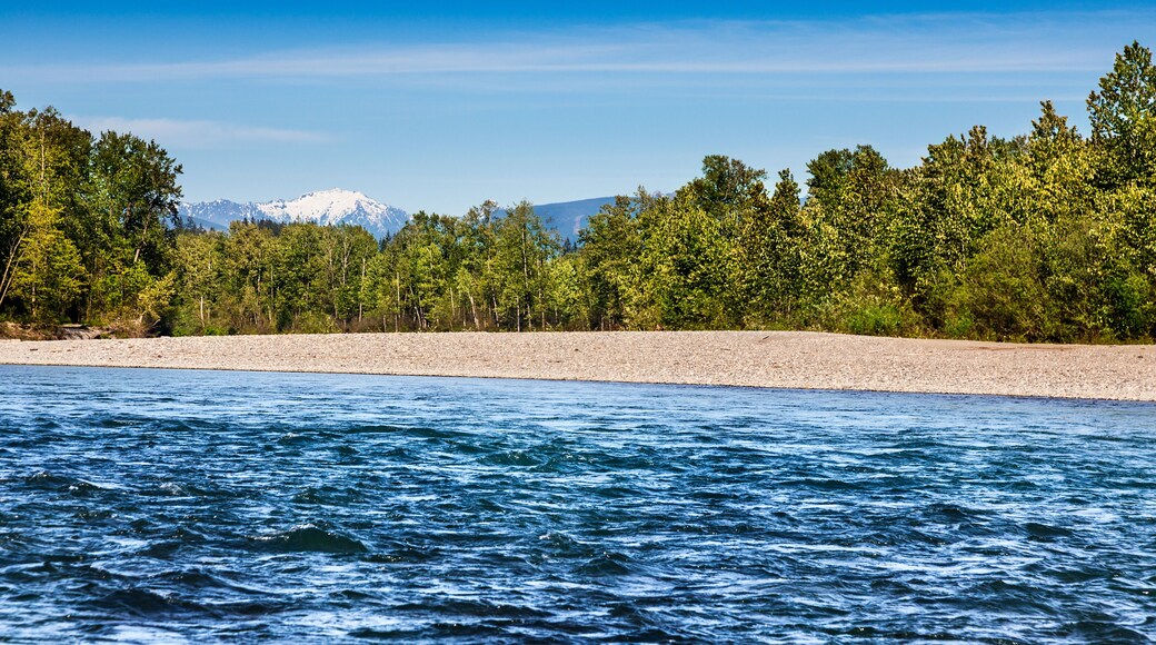 Swift current of the Skykomish River in Monroe, Washington with a sunny backdrop of the Cascades to the East