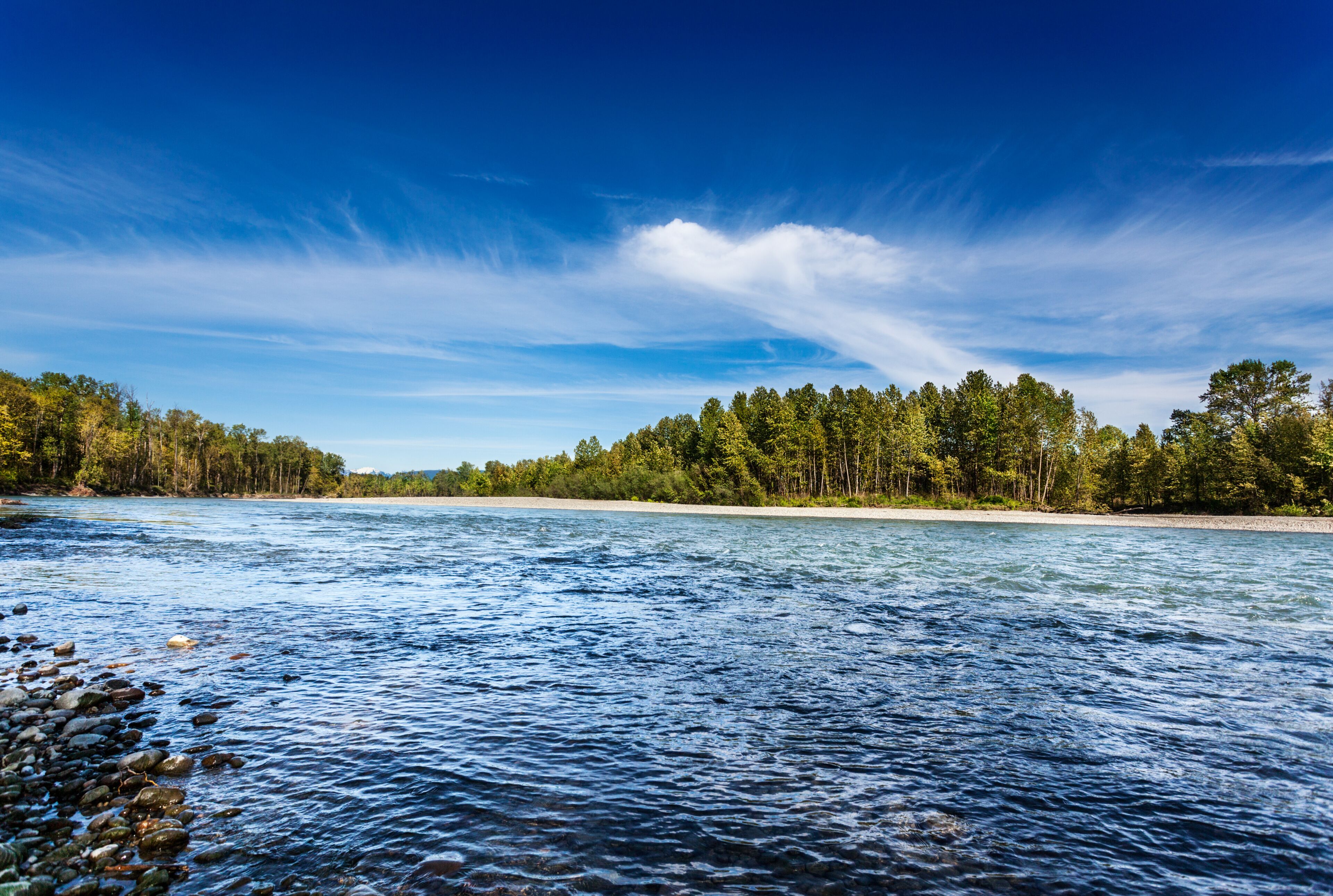 Fast running Skykomish River near Monroe, Washington, on a quiet sunny Spring afternoon