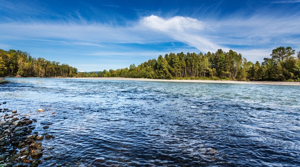 Fast running Skykomish River near Monroe, Washington, on a quiet sunny Spring afternoon