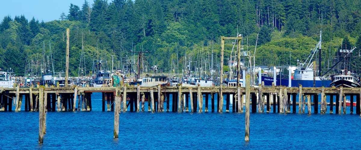 A marina with boats docked at wooden piers, surrounded by dense forest.