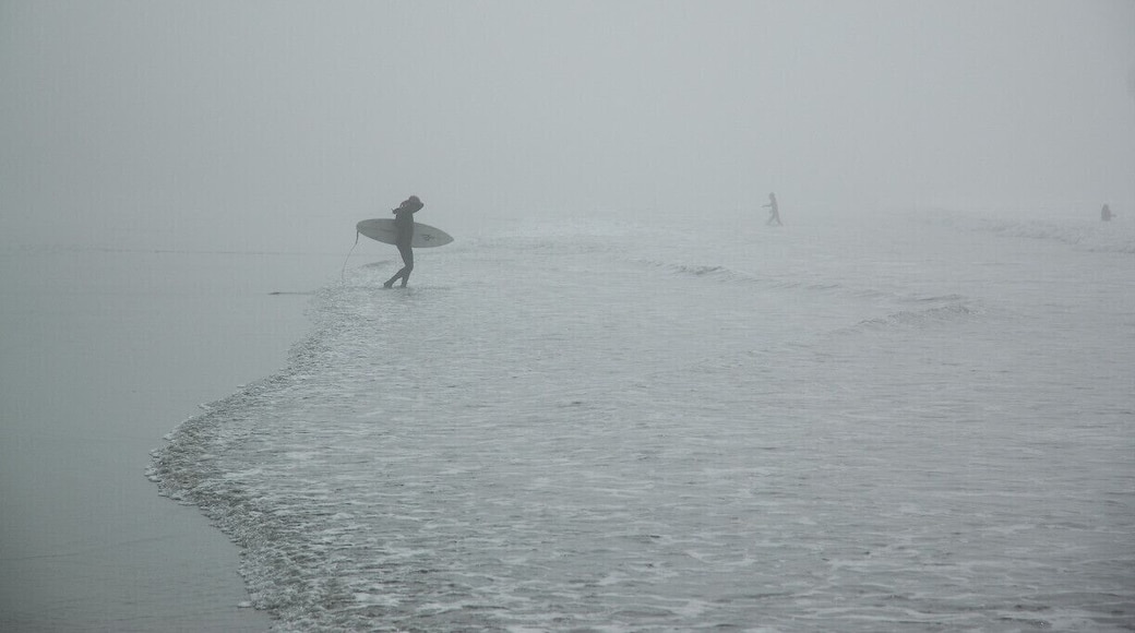Hobuck Beach Resort is one of the few places to stay in the Makah Nation. There are options for camping, or single bedroom cabins you can stay in as well, and the surfing is great, as long as you have a wetsuit. The fog never lifted this particular day, but that didn't stop 30 of us from going out to catch waves.