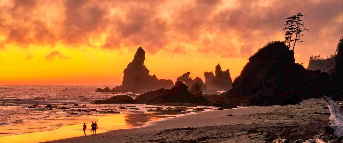 Do you like camping? How about camping on a beach? The views here are otherworldly with the sea stacks and various tide pools. Located in the green paradise that is the Olympic National Park, it is only a short 0.7 mile hike and you're there . Think ahead and bring some wood for a fire and smores. I promise this place is truly unique and spending a night listening to the waves crashing was one of the most surreal and relaxing experiences of my life. Just beware of the tides, as you do not want to get washed away. Also a wilderness camping permit is required and you can get one of those at the Olympic National Park Visitors Center in Port Angeles. So do your mind a favor, escape the daily grind and technology for the ultimate nature experience. Remember to pack out what you pack in and leave no trace! Enjoy!
#culture
