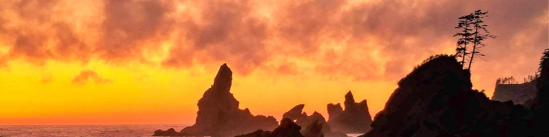 Do you like camping? How about camping on a beach? The views here are otherworldly with the sea stacks and various tide pools. Located in the green paradise that is the Olympic National Park, it is only a short 0.7 mile hike and you're there . Think ahead and bring some wood for a fire and smores. I promise this place is truly unique and spending a night listening to the waves crashing was one of the most surreal and relaxing experiences of my life. Just beware of the tides, as you do not want to get washed away. Also a wilderness camping permit is required and you can get one of those at the Olympic National Park Visitors Center in Port Angeles. So do your mind a favor, escape the daily grind and technology for the ultimate nature experience. Remember to pack out what you pack in and leave no trace! Enjoy!
#culture