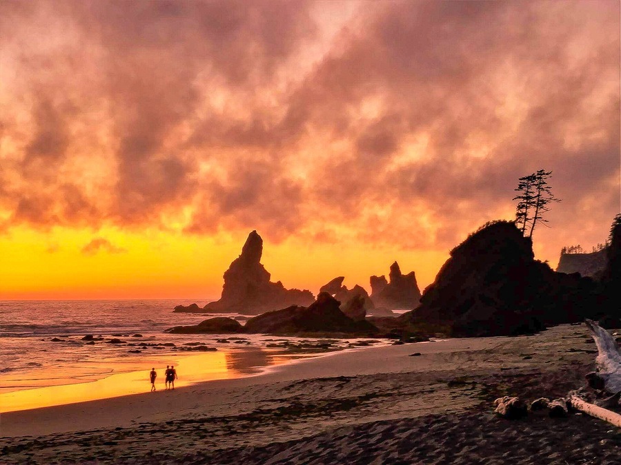 Do you like camping? How about camping on a beach? The views here are otherworldly with the sea stacks and various tide pools. Located in the green paradise that is the Olympic National Park, it is only a short 0.7 mile hike and you're there . Think ahead and bring some wood for a fire and smores. I promise this place is truly unique and spending a night listening to the waves crashing was one of the most surreal and relaxing experiences of my life. Just beware of the tides, as you do not want to get washed away. Also a wilderness camping permit is required and you can get one of those at the Olympic National Park Visitors Center in Port Angeles. So do your mind a favor, escape the daily grind and technology for the ultimate nature experience. Remember to pack out what you pack in and leave no trace! Enjoy!
#culture