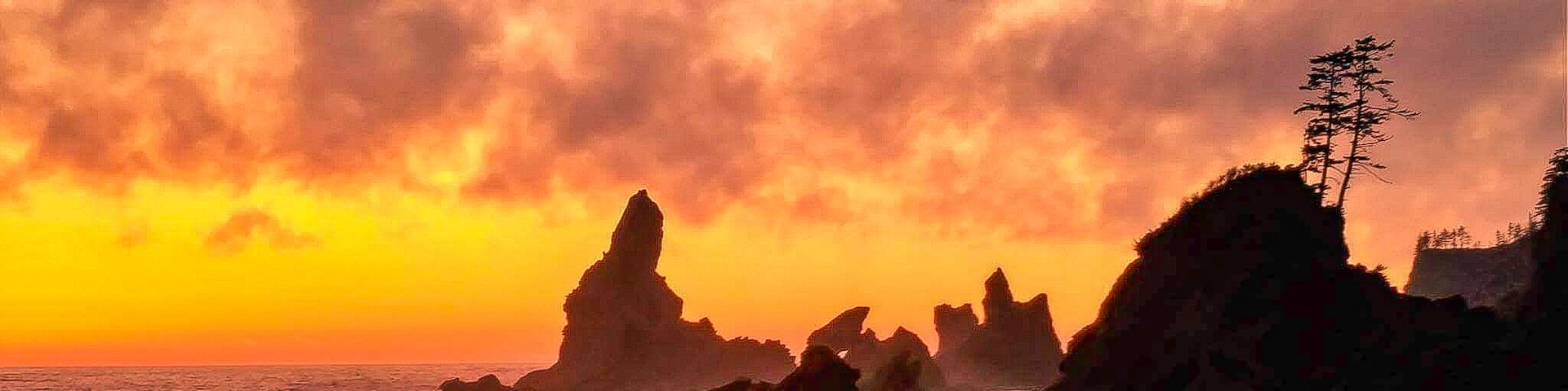 Do you like camping? How about camping on a beach? The views here are otherworldly with the sea stacks and various tide pools. Located in the green paradise that is the Olympic National Park, it is only a short 0.7 mile hike and you're there . Think ahead and bring some wood for a fire and smores. I promise this place is truly unique and spending a night listening to the waves crashing was one of the most surreal and relaxing experiences of my life. Just beware of the tides, as you do not want to get washed away. Also a wilderness camping permit is required and you can get one of those at the Olympic National Park Visitors Center in Port Angeles. So do your mind a favor, escape the daily grind and technology for the ultimate nature experience. Remember to pack out what you pack in and leave no trace! Enjoy!
#culture