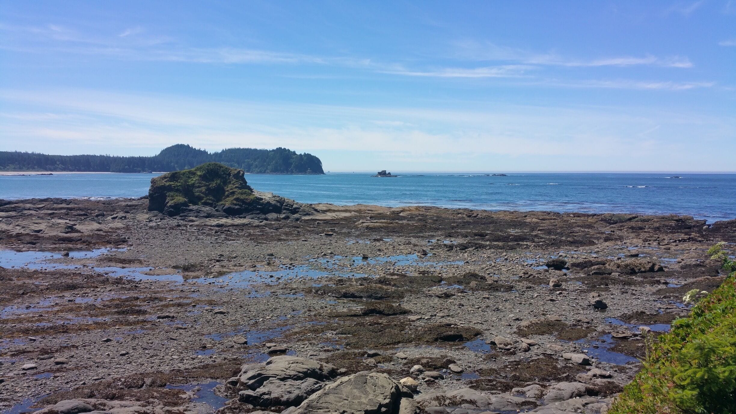 Beautiful park with lots on smooth beach for walking or building sand castles. The tide pools are amazing as well at this is one of the only beaches I have seen in WA where you can see a wide variety of unmolested sea shells