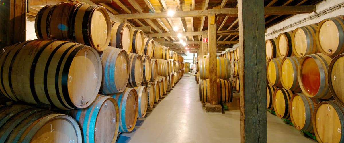 Cantillon Brewery featuring interior views