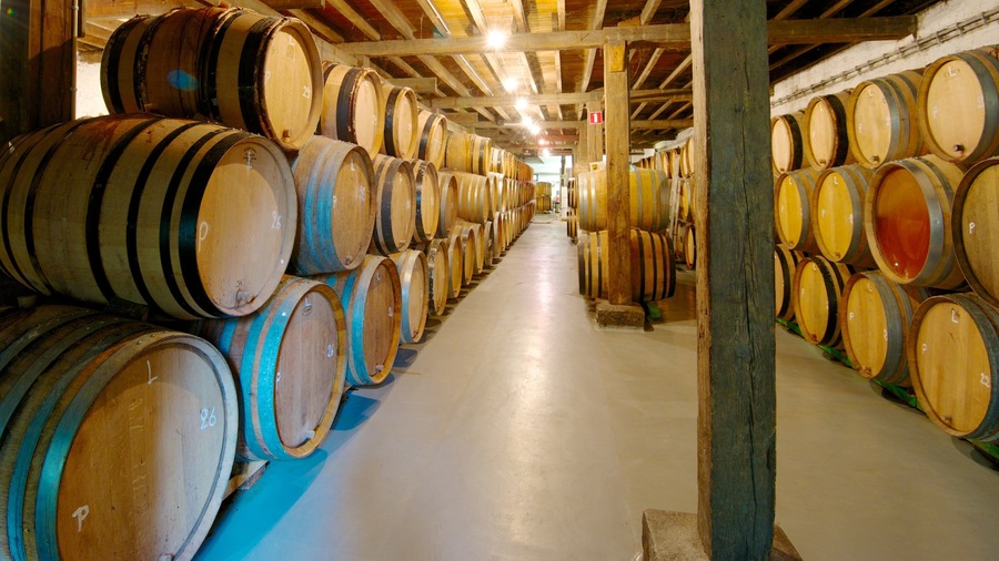 Brouwerij van Cantillon inclusief interieur