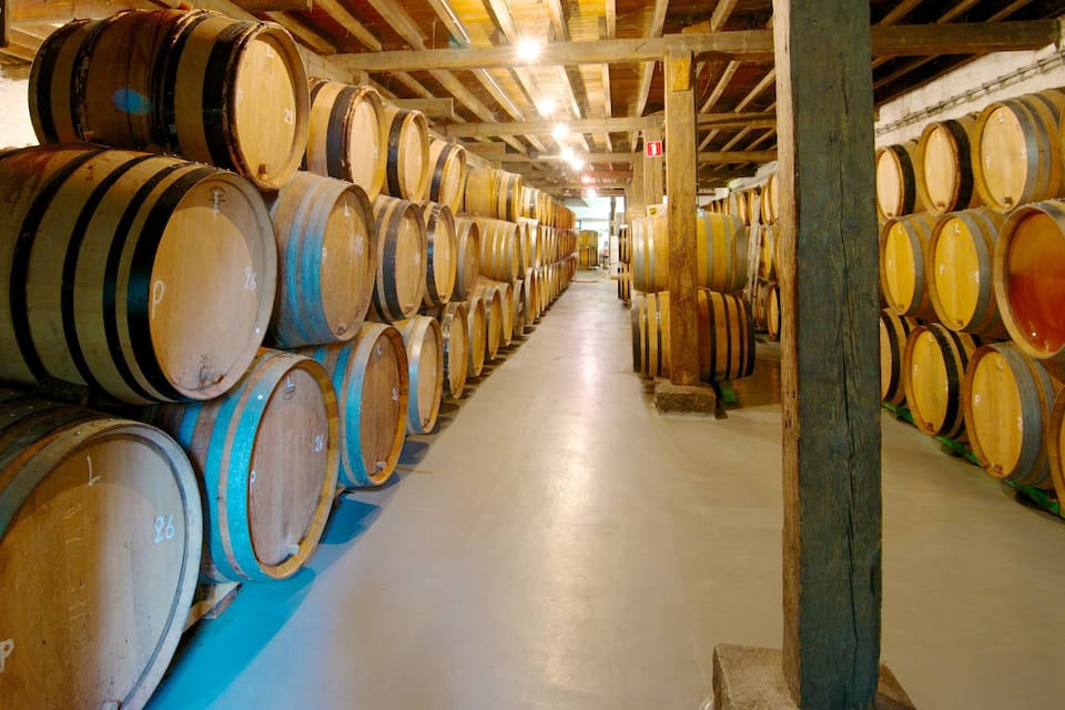 A warehouse with rows of wooden barrels stacked against the walls.